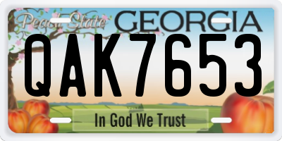 GA license plate QAK7653