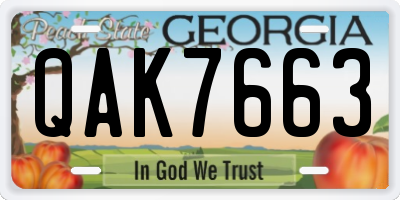 GA license plate QAK7663