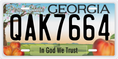 GA license plate QAK7664