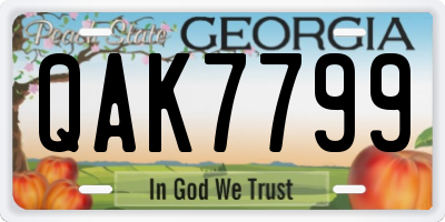 GA license plate QAK7799