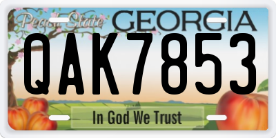 GA license plate QAK7853