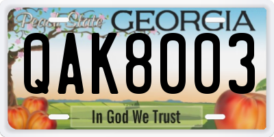 GA license plate QAK8003