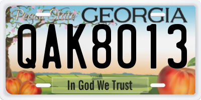 GA license plate QAK8013