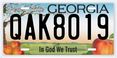 GA license plate QAK8019