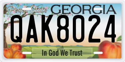 GA license plate QAK8024