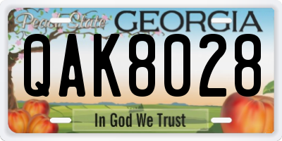 GA license plate QAK8028
