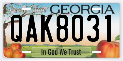 GA license plate QAK8031