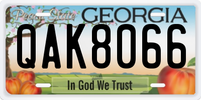 GA license plate QAK8066