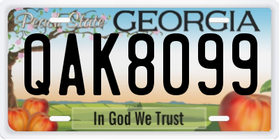 GA license plate QAK8099