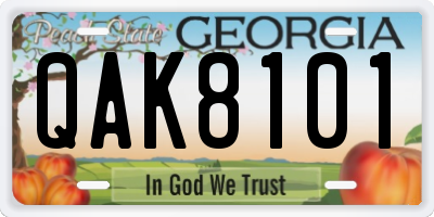 GA license plate QAK8101
