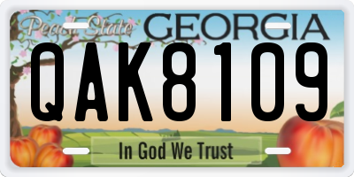 GA license plate QAK8109