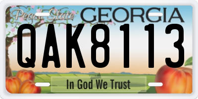 GA license plate QAK8113
