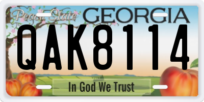 GA license plate QAK8114