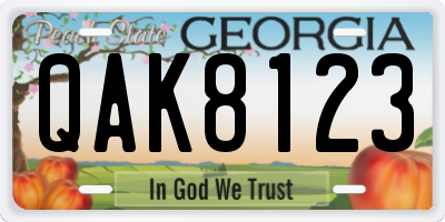 GA license plate QAK8123