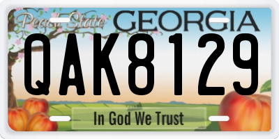GA license plate QAK8129