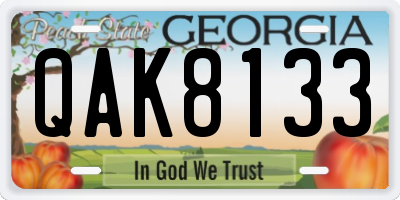 GA license plate QAK8133