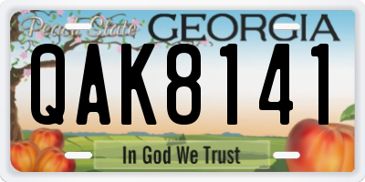 GA license plate QAK8141