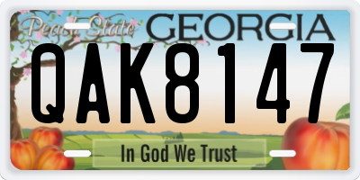 GA license plate QAK8147