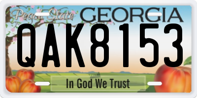GA license plate QAK8153
