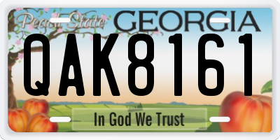GA license plate QAK8161