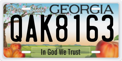 GA license plate QAK8163