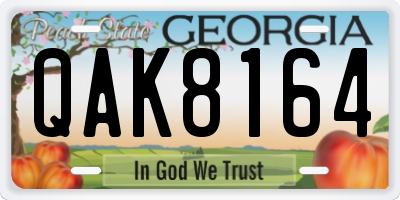 GA license plate QAK8164