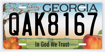 GA license plate QAK8167