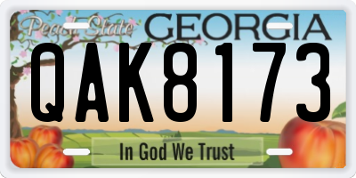 GA license plate QAK8173
