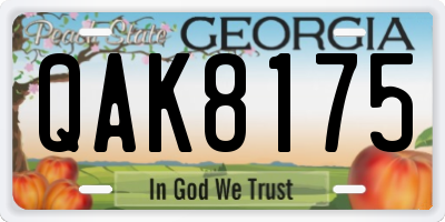 GA license plate QAK8175