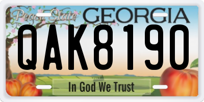 GA license plate QAK8190