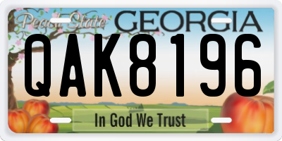 GA license plate QAK8196