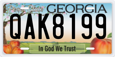 GA license plate QAK8199