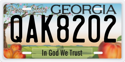 GA license plate QAK8202