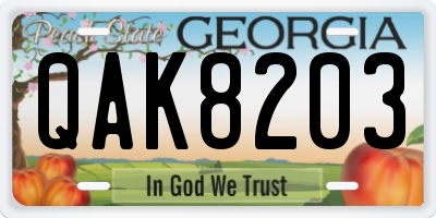 GA license plate QAK8203