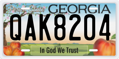GA license plate QAK8204