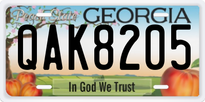 GA license plate QAK8205