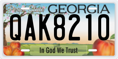 GA license plate QAK8210