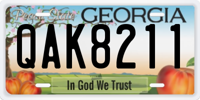 GA license plate QAK8211