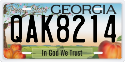 GA license plate QAK8214