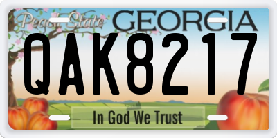 GA license plate QAK8217