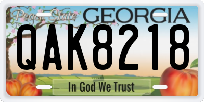 GA license plate QAK8218