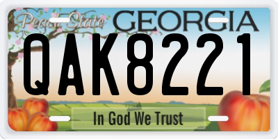 GA license plate QAK8221