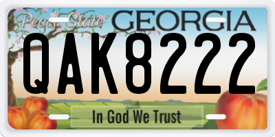 GA license plate QAK8222