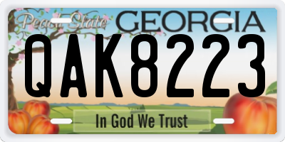 GA license plate QAK8223