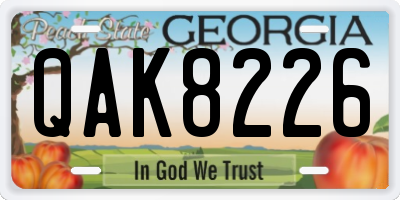 GA license plate QAK8226