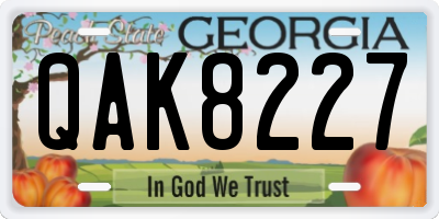 GA license plate QAK8227