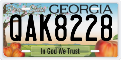 GA license plate QAK8228