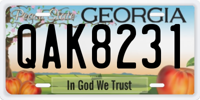 GA license plate QAK8231