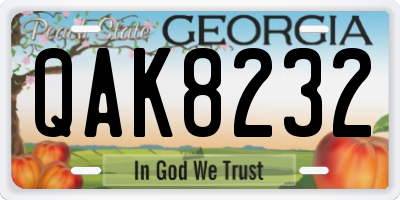 GA license plate QAK8232