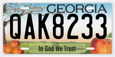 GA license plate QAK8233